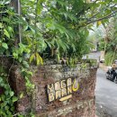 치유요가반 이미지