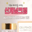셀피스