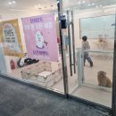 오쉬오트 이미지