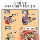 마루동이