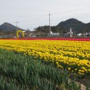 점암농장 이미지