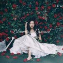블루밍(blooming) 이미지