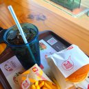 롯데리아속초터미널점 이미지