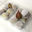 꼬마야김밥먹자 | 가을이 빼꼼