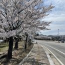 호암수청1길 이미지