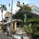 살구나무치과기공소 | 우리의 바다는 언제나 이곳에 (다카마츠 여행기2)