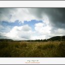 태흥목장 이미지