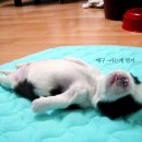 방이 이미지