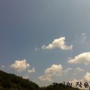 애니오토 카 이미지