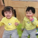 나투라힐링하우스
