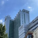 관악구 수영장) 삼모스포렉스 - 자유수영, 금액, 시간