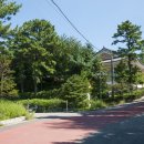 다남로 165번길 이미지