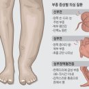 필샵 이미지