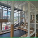 여진 닭한마리 이미지