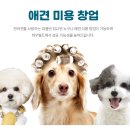애견미용사 3급 자격증 과정 2 이미지