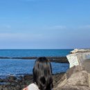 고내다운 이미지