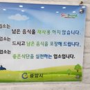 어촌기행 이미지