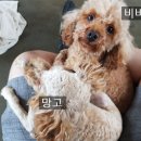 나들목 농장2 네이버블로그