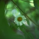 산아래민박 이미지