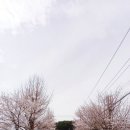 기산초등학교 앞 이미지