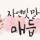자연빛깔매듭