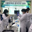 전북대학교 식물방역대학원 이미지