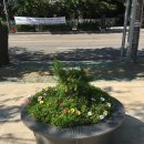 새빛발전소 이미지