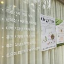 대아메디칼 | 올가드림뷰티 강서가양점