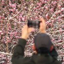 농산물관리원사무소앞 이미지