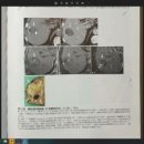 김일봉내과의원 이미지