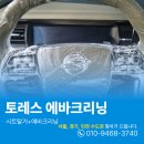 서울 노원구 토레스 에바크리닝과 내부세차로 개털제거 확실한 후기