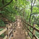 욕지 자부마을 | 욕지도 슬기로운 섬생활 day. 2-2 자유시간(모밀잣밤나무숲, 욕지도 마을버스, 욕지도 마을 풍경)