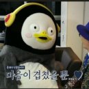 늘푸른태권도 이미지