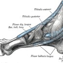 대세당한의원 이미지