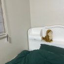 강원도 강릉 5박 6일 &lt;1-3일차&gt; : 시내버스 민원 넣어본 썰