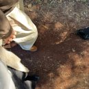 301-2-000006 | 제주비자림 , 비자림소요시간 | 제주 동쪽 꼭 방문해야 할 숲 🌿