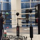 은석학원 | 내돈내산 영재발굴단 복싱 너무재밌었던 박미르복싱 후기