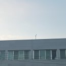 삼멍삼냥 네이버블로그