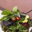 명성가왕솥뚜껑 이미지