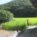 지경보건진료소 이미지