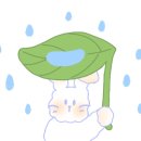 공화춘수타왕손짜장 이미지
