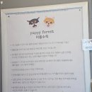 퍼피포레스트 이미지
