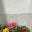 금호1농장 이미지