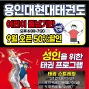 용인대현대태권도장 네이버블로그