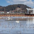 무안-2호 이미지