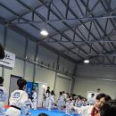 새빛 태권도 이미지
