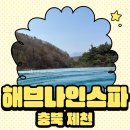 백운사우나 | [제천/백운] 실내 온천&amp;사우나로 찐 힐링! 해브나인 스파 리뷰✨ (포레스트 리솜 숙박객 필수 코스!)