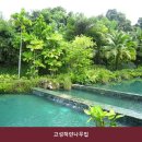 고성하얀나무집