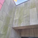 서귀포소방서 동홍119센터 이미지