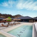 스테이펫 이미지